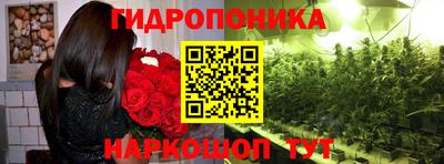 спиды Новозыбков