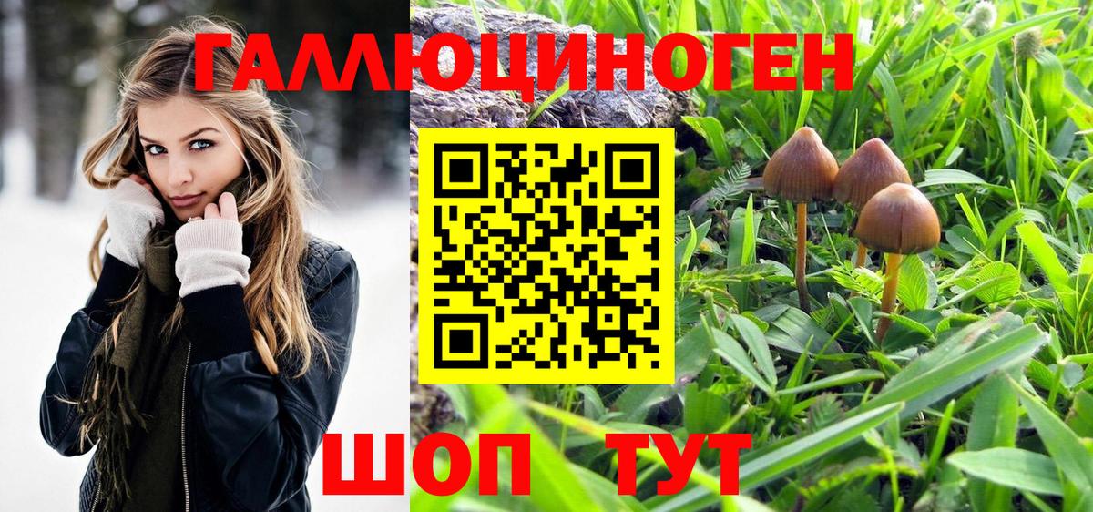 Галлюциногенные грибы Cubensis Углич