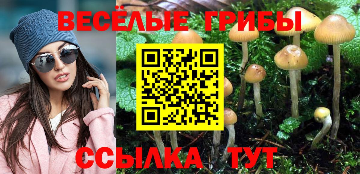 Псилоцибиновые грибы GOLDEN TEACHER  Галлюциногенные грибы Psilocybine cubensis  Углич  Вход с VPN 